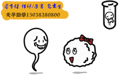 仁济北院找代妈仁济北院代生孩子