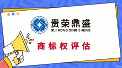 湖南省衡阳市商标评估做一个专利评估报告多少钱软著评估