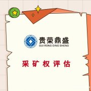 无形资产怎么评估价值无形资产评估机构