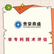 广东省广州市知识产权证券化知识产权质押评估