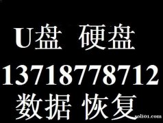 希捷WD数据恢复 希捷U盘数据恢复 ST硬盘维修