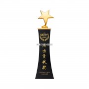 创意奖杯年度先进员工颁奖纪念金属五角星奖杯刻字优秀员工奖品