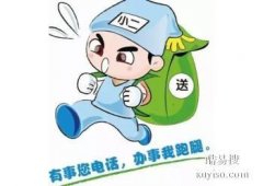 同城代办跑腿服务，责任心强