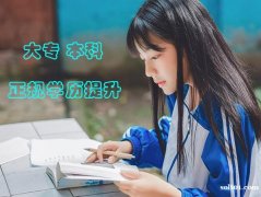 自学考试热门专业专科本科招生含金量高毕业快