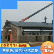 江西南昌屋顶树脂瓦 仿古型塑料瓦 合成树脂琉璃瓦 绝缘性