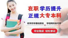 自考专升本热门专业行政管理招生学信网终身可查