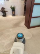 焕然一新）朝阳区清洗地毯公司 姚家园