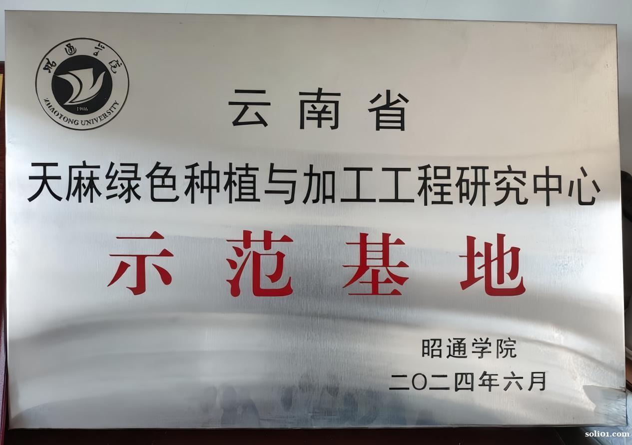 昭通野生天麻产地 昭通野生天麻产地