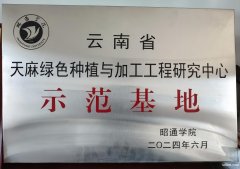 昭通野生天麻产地 昭通野生天麻产地