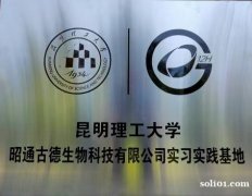 昭通野生天麻治疗眩晕