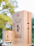 昭通天麻酒种植技术 昭通天麻酒种植技术