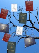 华北理工大学公共事业管理自考报名简章 本科学位速过班